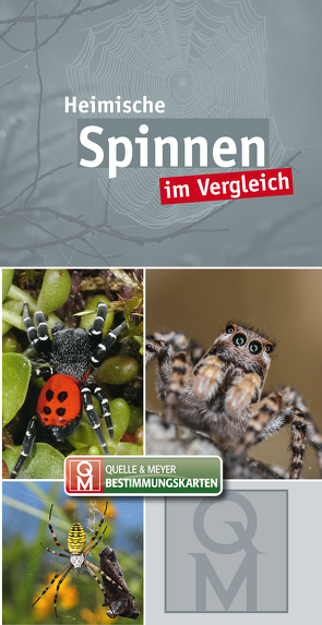 Heimische Spinnen im Vergleich von Quelle & Meyer Verlag