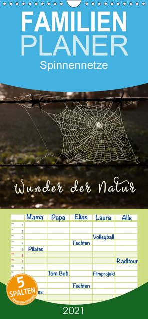 Spinnennetze – Wunder der Natur – Familienplaner hoch (Wandkalender 2021 , 21 cm x 45 cm, hoch) von Roder,  Peter