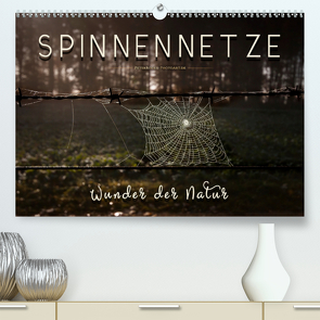 Spinnennetze – Wunder der Natur (Premium, hochwertiger DIN A2 Wandkalender 2021, Kunstdruck in Hochglanz) von Roder,  Peter