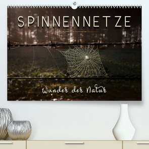 Spinnennetze – Wunder der Natur (Premium, hochwertiger DIN A2 Wandkalender 2022, Kunstdruck in Hochglanz) von Roder,  Peter