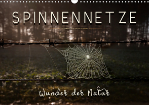 Spinnennetze – Wunder der Natur (Wandkalender 2021 DIN A3 quer) von Roder,  Peter