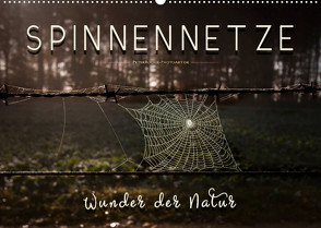 Spinnennetze – Wunder der Natur (Wandkalender 2022 DIN A2 quer) von Roder,  Peter