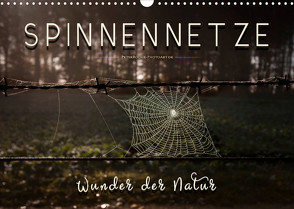 Spinnennetze – Wunder der Natur (Wandkalender 2022 DIN A3 quer) von Roder,  Peter