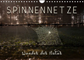 Spinnennetze – Wunder der Natur (Wandkalender 2022 DIN A4 quer) von Roder,  Peter