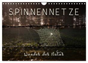 Spinnennetze – Wunder der Natur (Wandkalender 2024 DIN A4 quer), CALVENDO Monatskalender von Roder,  Peter