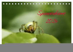 Spinnentiere 2024 (Tischkalender 2024 DIN A5 quer), CALVENDO Monatskalender von Arnold,  Hernegger