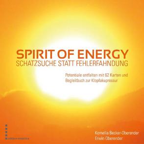 Spirit of Energy, Schatzsuche statt Fehlerfahndung von Becker-Oberender,  Kornelia, Oberender,  Erwin