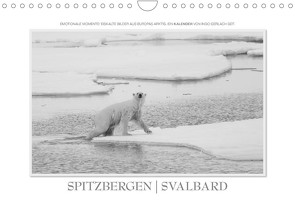 Spitzbergen Svalbard (Wandkalender 2023 DIN A4 quer) von Gerlach GDT,  Ingo