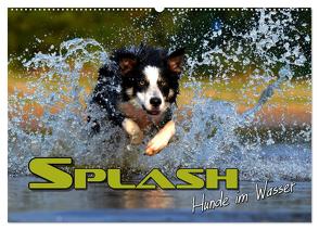 SPLASH – Hunde im Wasser (Wandkalender 2024 DIN A2 quer), CALVENDO Monatskalender von Bleicher,  Renate