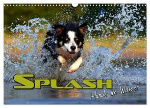 SPLASH – Hunde im Wasser (Wandkalender 2024 DIN A3 quer), CALVENDO Monatskalender von Bleicher,  Renate