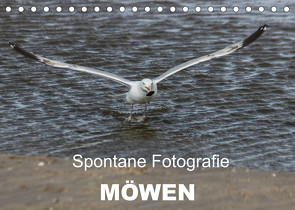 Spontane Fotografie – Möwen (Tischkalender 2023 DIN A5 quer) von MP,  Melanie