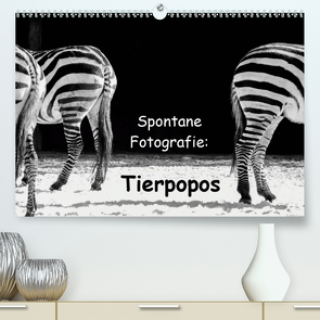 Spontane Fotografie: Tierpopos (Premium, hochwertiger DIN A2 Wandkalender 2021, Kunstdruck in Hochglanz) von MP ( Melanie Münchow-Peth ),  Melanie