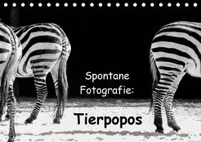 Spontane Fotografie: Tierpopos (Tischkalender 2021 DIN A5 quer) von MP ( Melanie Münchow-Peth ),  Melanie