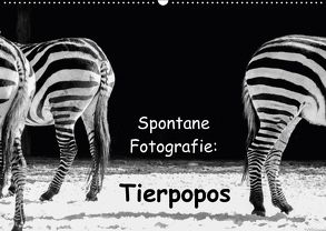 Spontane Fotografie: Tierpopos (Wandkalender 2018 DIN A2 quer) von MP ( Melanie Münchow-Peth ),  Melanie