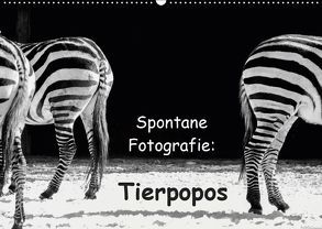 Spontane Fotografie: Tierpopos (Wandkalender 2019 DIN A2 quer) von MP ( Melanie Münchow-Peth ),  Melanie