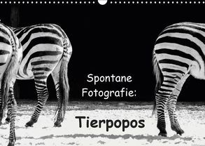 Spontane Fotografie: Tierpopos (Wandkalender 2019 DIN A3 quer) von MP ( Melanie Münchow-Peth ),  Melanie