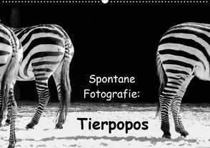 Spontane Fotografie: Tierpopos (Wandkalender 2020 DIN A2 quer) von MP ( Melanie Münchow-Peth ),  Melanie