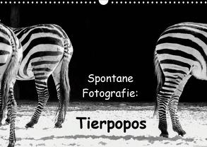 Spontane Fotografie: Tierpopos (Wandkalender 2020 DIN A3 quer) von MP ( Melanie Münchow-Peth ),  Melanie