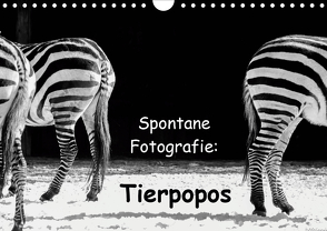 Spontane Fotografie: Tierpopos (Wandkalender 2020 DIN A4 quer) von MP ( Melanie Münchow-Peth ),  Melanie