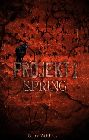 Spring – Projekt I von Weithaas,  Celina