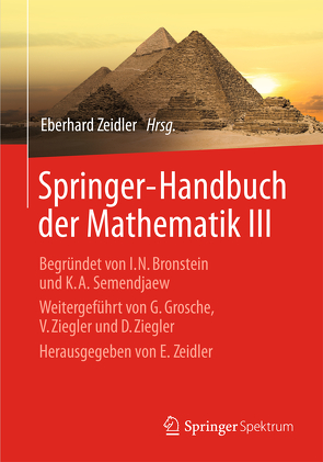 Springer-Handbuch der Mathematik III von Blath,  Jochen, Dempe,  Stephan, Gottwald,  Siegfried, Hackbusch,  Wolfgang, Hromkovic,  Juraj, Luderer,  Bernd, Schied,  Alexander, Schwarz,  Hans Rudolf, Wanka,  Gert, Zeidler,  Eberhard