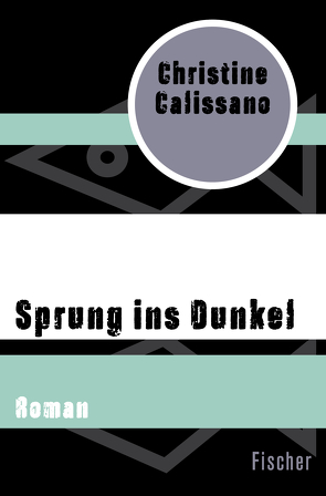 Sprung ins Dunkel von Calissano,  Christine, Schmidt,  Katharina