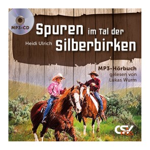 Spuren im Tal der Silberbirken von Ulrich,  Heidi, Wurm,  Lukas