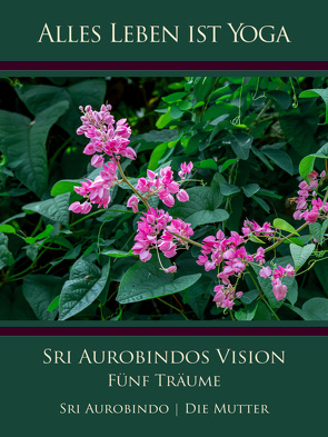 Sri Aurobindos Vision von Aurobindo,  Sri, Mutter,  Die (d.i. Mira Alfassa)