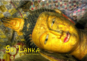 Sri Lanka – Tempel, Tee und Elefanten (Wandkalender 2023 DIN A2 quer) von Stamm,  Dirk