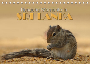 Sri Lanka – Tierische Momente (Tischkalender 2023 DIN A5 quer) von Matziol,  Michael