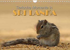 Sri Lanka – Tierische Momente (Wandkalender 2023 DIN A4 quer) von Matziol,  Michael