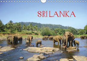 Sri Lanka (Wandkalender 2019 DIN A4 quer) von Rasch,  Clemens