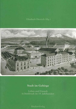 Die Stadt im Gebirge von Dietrich-Daum,  Elisabeth