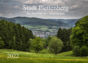 Stadt Plettenberg (Wandkalender 2022 DIN A2 quer) von Rein,  Simone