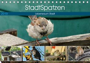 StadtSpatzen (Tischkalender 2019 DIN A5 quer) von Schilling,  Linda