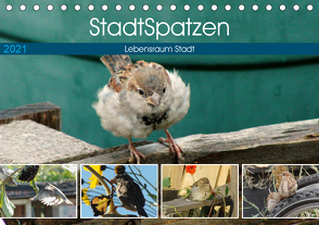 StadtSpatzen (Tischkalender 2021 DIN A5 quer) von Schilling,  Linda