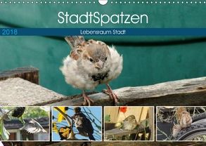 StadtSpatzen (Wandkalender 2018 DIN A3 quer) von Schilling,  Linda