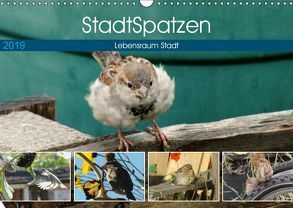 StadtSpatzen (Wandkalender 2019 DIN A3 quer) von Schilling,  Linda