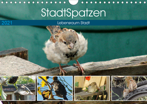 StadtSpatzen (Wandkalender 2021 DIN A4 quer) von Schilling,  Linda