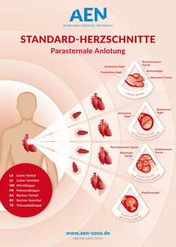 Standard-Herzschnitte Echokardiografie