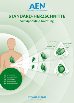 Standard-Herzschnitte Echokardiografie