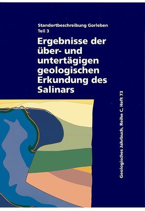 Standortbeschreibung Gorleben. Teil 3 von Behlau,  Joachim, Bornemann,  Otto, Fischbeck,  Reinhard, Hammer,  Jörg, Jaritz,  Werner, Keller,  Siegfried, Mingerzahn,  Gerhard, Schramm,  Michael