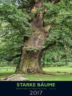 Starke Bäume 2017 von Bärtels,  Andreas, Bouffier,  Volker Andre, Conrad,  Gisela, Conrad,  Uwe, Gomolka,  Andreas, Jablonski,  Eike, Kerzig,  Günther, Müller,  Hans-Roland, Roloff,  Andreas, Scheich,  Marion, Schmidt,  Prof. Dr. Peter A.