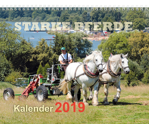 Starke Pferde Kalender 2019 von Schroll,  Erhard