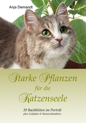 Starke Pflanzen für die Katzenseele von Demandt,  Anja