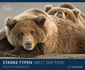 Starke Typen 2020 von PALAZZI