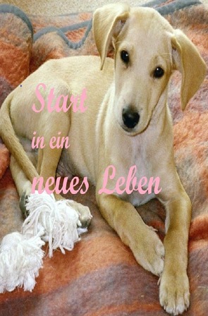 Start in ein neues Leben von Kluckert,  Frank