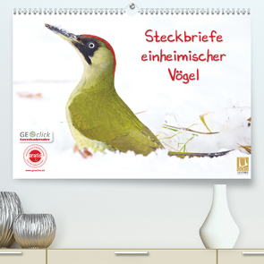 Steckbriefe einheimischer Vögel (Premium, hochwertiger DIN A2 Wandkalender 2021, Kunstdruck in Hochglanz) von Feske,  Klaus