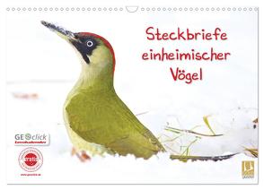 Steckbriefe einheimischer Vögel (Wandkalender 2024 DIN A3 quer), CALVENDO Monatskalender von Feske,  Klaus