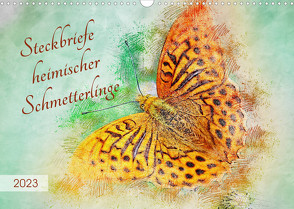 Steckbriefe heimischer Schmetterlinge (Wandkalender 2023 DIN A3 quer) von Frost,  Anja